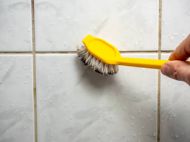 Best Home Mold Removal  in Buchanan, VA