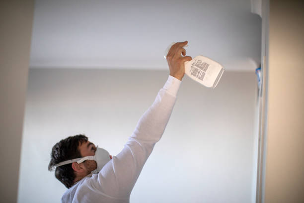 Certified Mold Removal in Buchanan, VA