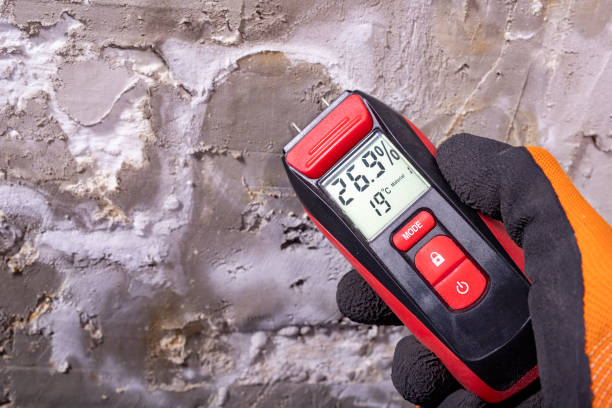 Best Professional Mold Removal  in Buchanan, VA