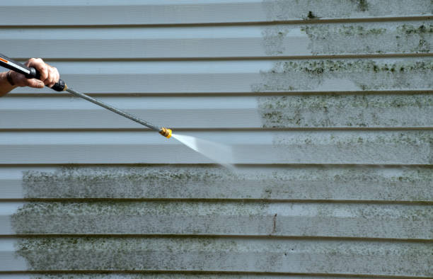 Best Office Mold Removal Services  in Buchanan, VA