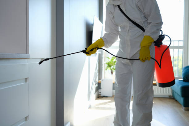 Water Damage Restoration in Buchanan, VA
