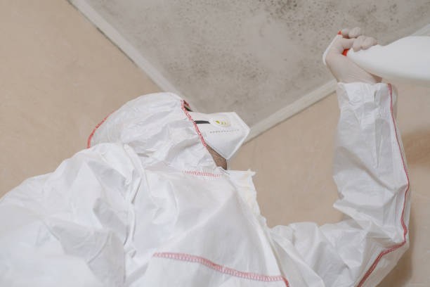 Home Mold Removal in Buchanan, VA