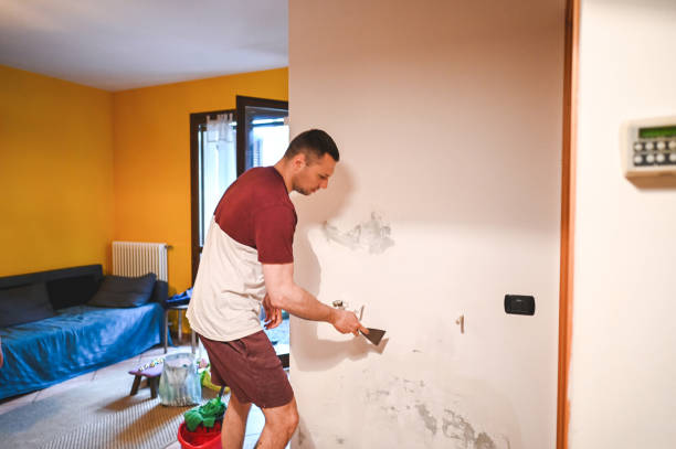 Best Certified Mold Removal  in Buchanan, VA